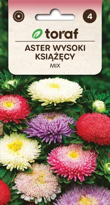 Zdjęcie produktu dla Aster wysoki Książęcy mix Nasiona kwiatów 438 TORAF