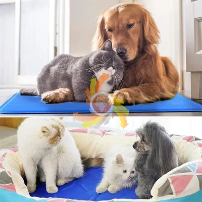 Produktbild von Bett Kühlmatte Hund Katze XL