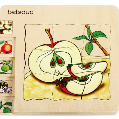 Image de Beleduc Lagenpuzzle Apfel 17039