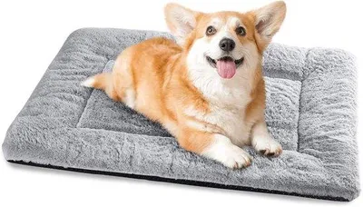 Produktbild von Hundebett für kleine Hunde, 75 x 50 cm, waschbares Hundekissen mit rutschfester Unterseite, komfortables Hundebett für kleine und mittelgroße Hunde