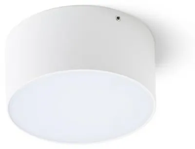 Image de RED - DESIGN RENDL RENDL LARISA OUT 12 LED apparentes, blanc, 230 V, 10 W, IP65, 3000 K/4000 K/5700 K, R14123