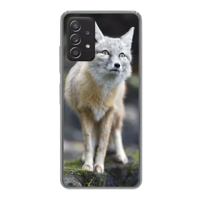 Produktbild von MuchoWow® Handyhülle Schutzhülle Hülle für Samsung galaxy a73 Fuchs - Makro - Baum Silikon Softcase Handy Hülle - Handyhülle