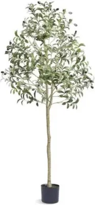 Produktbild von Famanu Kunstpflanze Olivenbaum - 155 cm hoch