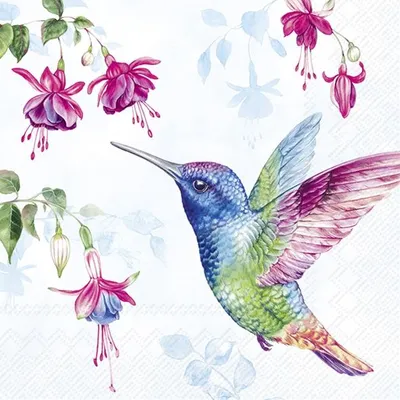 Produktbild von Serviette "Bunter Kolibri", 20 Stück
