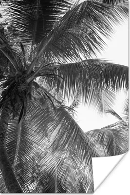 Produktbild von MuchoWow® Poster Palmwedel - Vintage - Natur 40x60 cm - Plakate für die Wand - Poster Babyzimmer