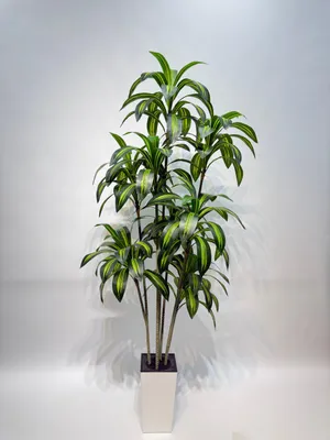 Obrázek produktu pro Umělá rostlina, výška 210 cm, zelená, realistický vzhled, v květináči, vhodná jako dekorace do interiéru