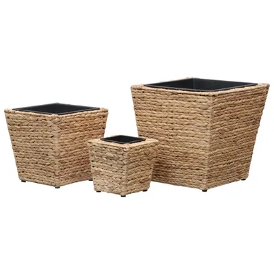 Produktbild von vidaXL Blumenkübel 3 Stk. Wasserhyazinthe