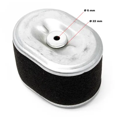 Image de Pièce détachée LIFAN Cartouche de filtre à air 6,5 CV