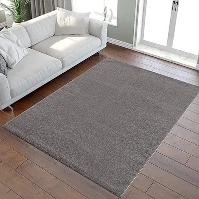 Produktbild von Famanu Teppich Einfarbig Waschbar Weich - Wohnzimmer 80 x 150 cm