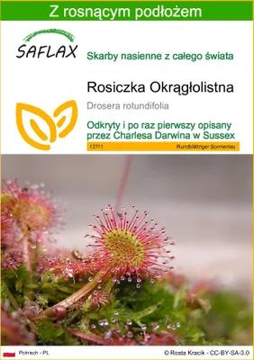 Zdjęcie produktu dla SAFLAX - Rosiczka Okrągłolistna - 50 Nasiona - Z podłożem uprawowym wolnym od zarazków - Drosera rotundifolia