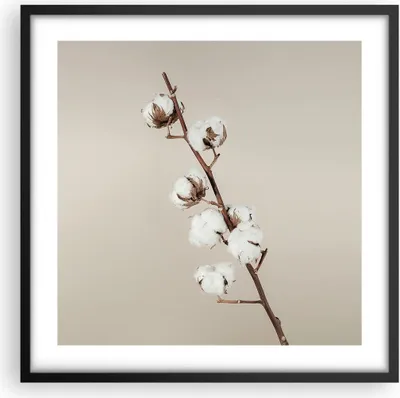Produktbild von Gerahmtes Poster - Schwarzer Rahmen - Baumwolle Zweig Boho - 50x50 cm - Wand Bild - Wanddeko - Wandbilder - Kunstposter - Wandposter - Bilderrahmen - Bilder - Kunstdruck - P2BAC50x50-4730