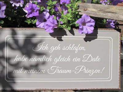 Produktbild von Shabby Chic Metallspruchschild "Traumprinz"