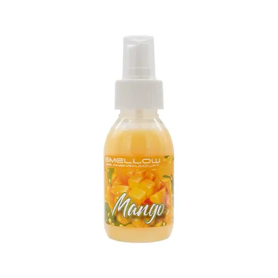 Produktbild von Liquid Elements SMELLOW Innenraumduft 100 ml Mango