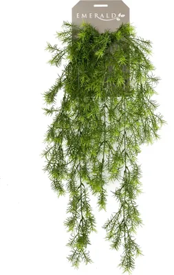 Produktbild von Warentuin Producten