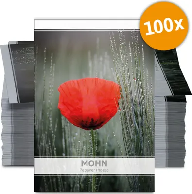 Produktbild von Mohn für Werbezwecke (100 Tütchen) | Mohnsamen von FLORTUS
