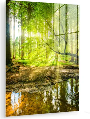 Produktbild von MuchoWow Glasbilder - Bilder auf Wandbild - Foto auf Glas Wald - Landschaft - Wasser - Bäume - Sonne - Grün - Natur 30x40 cm Wanddekoration aus Glas - Acrylglasbild - Acrylbilder - Wohnzimmer - Fotos