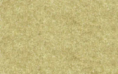 Zdjęcie produktu dla Elefantenhaut A4 Chamois # Bae 4344610K 110G 50Bl