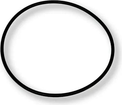 Produktbild von O-Ring für Gehäuse Speck Bettar