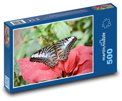Zdjęcie produktu dla Puzzle 500 Motyl na kwiatku - martinpuzzle