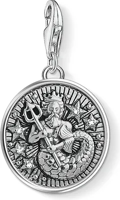 Produktbild von Thomas Sabo Sternzeichen Wassermann 1638-643-21 Charm Anhänger