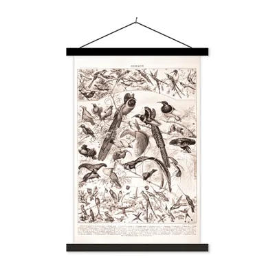 Produktbild von MuchoWow® Textilposter Vogel - Tiere - Schwarz - Weiß 60x90 cm mit schwarzem Rahmen - Poster Wohnzimmer