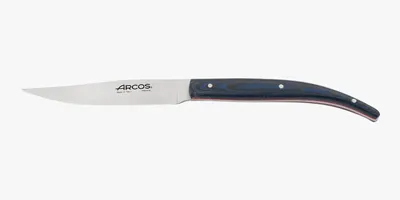 Steakmesser, Klinge 110 mm, NITRUM Edelstahl, Griff blau