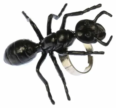 Produktbild von Ameisenring Ring Ameise Miniblings Halloween Horror Insekt Waldameise 5cm