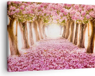 Produktbild von Bild auf Leinwand - Leinwandbild - Baum Blumen Kirsche Natur - 70x50cm - Wand Bild - Wanddeko - Leinwanddruck - Bilder - Kunstdruck - Wanddekoration - Leinwand bilder - Wandkunst - AA70x50-2794
