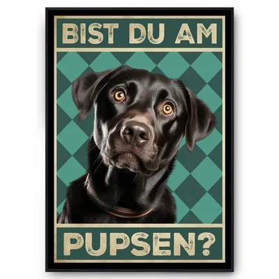 Produktbild von Labrador - Bist du am Pupsen? Hunde Poster Badezimmer Gästebad Wandbild Klo Toilette Dekoration Lustiges Gäste-WC Bild DIN A4 – DIN A4 mit Rahmen | Schwarz