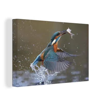 Obrázok produktu pre OneMillionCanvasses® - Maľba na plátne - Obraz na plátne Nástenná maľba na plátne - Rybárik - ryby - voda - 150x100cm - Fotografia na plátne - maľba