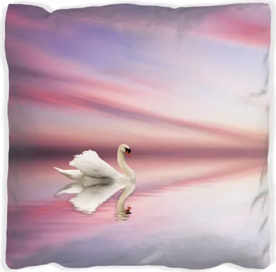 Produktbild von Wallario Premium Kissen, weiche Oberfläche, mit Motiv Weißer Schwan im rosafarbenen See, Größe: 40 x 40 cm, mit weißer Rückseite