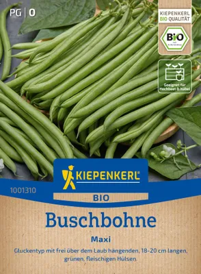 Produktbild von Kiepenkerl Buschbohnensamen Maxi Phaseolus vulgaris nanus 5 - 7 m²