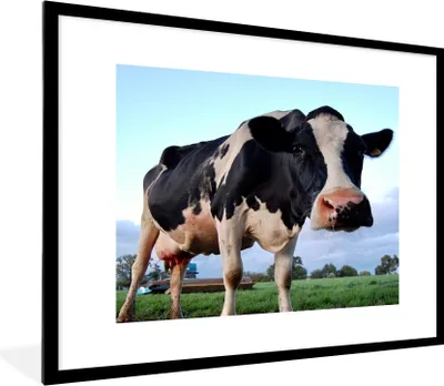 Produktbild von MuchoWow® Gerahmtes Poster Kuh - Bauernhof - Gras - Tiere 80x60 cm - Poster mit Schwarzem Bilderrahmen Wandposter Rahmen Foto Bilder - Schlafzimmer-Dekorationen - Fotoposter