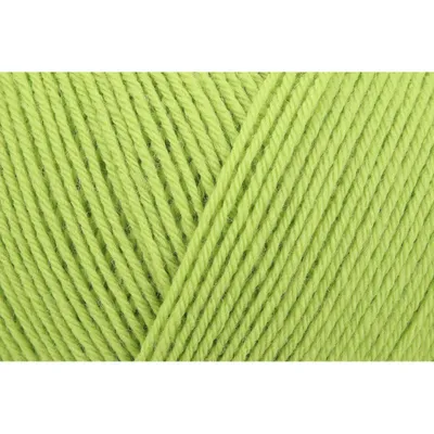 Image de Fil à tricoter Regia Premium Pure 00073 Lime