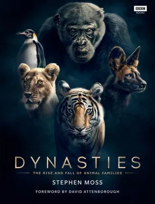 Imagen del producto de Dynasties