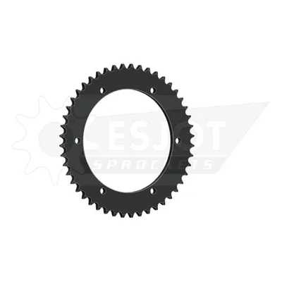 Image de Pignon Esjot 428 48Z acier noir