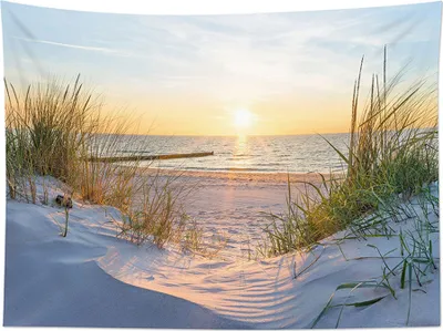 A beach scene at sunset with sand dunes and tall grass in the foreground, leading to the ocean and a setting sun.