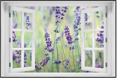 Produktbild von Wallario Wandbild mit Fenster-Illusion: Lila Blumenfreude - Violette Pflanzen auf der Wiese, Größe: 61 x 91,5 cm, Poster mit schwarzem Aluminiumrahmen