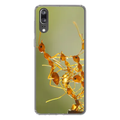 Produktbild von MuchoWow® Handyhülle Schutzhülle Hülle für Huawei P20 Ameisen - Orange - Tiere Silikon Softcase Handy Hülle - Hardcover