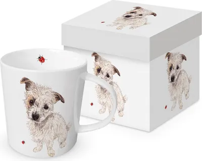 Produktbild von Kaffeebecher Hund "Omelette", mit Geschenkbox, Tasse Tiere Tier Geschenkset Hunde