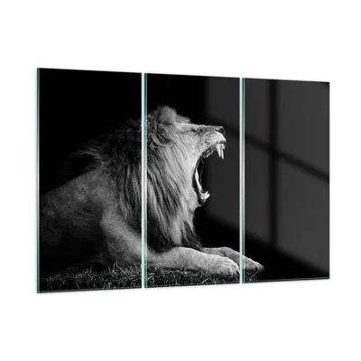 Produktbild von Bilder auf glas - 3 Teile - Löwe Gähnen Schwarz und Weiß - 165x110cm - Glasbilder - Wandbilder - Bilder - Wanddekoration aus Glas - Glas Bilder - Wandbild auf Glas - GCE165x110-4252