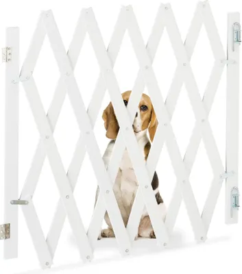 Produktbild von Ausziehbare Hundeschiene in Weiß