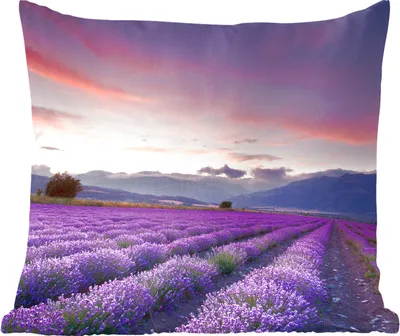 Produktbild von MuchoWow® Zierkissen Sofakissen Wohnzimmer Dekokissen 40x40 cm Sonnenuntergang über Lavendel - Foto Kissen - Schlafzimmer Dekoration
