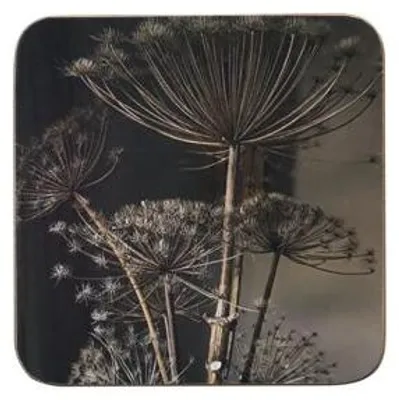 Image de Mars & More : Dessous de verre "Bärenklau" (griefier), dimensions 10x10 cm, lot de 6