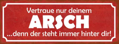 Produktbild von vianmo Holzschild 10x27 cm vertraue nur deinem Arsch denn Dekoration