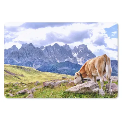 Produktbild von MuchoWow® Schreibtischunterlage Kuh - Stein - Berg 60x40 cm - XXL Mauspad - Großes Mauspad