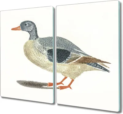 Produktbild von Coloray Herdabdeckplatte 2x30x52 cm Schneidebrett Kochplattenabdeckung Küchenbrett Hackbrett - Tier Vogel