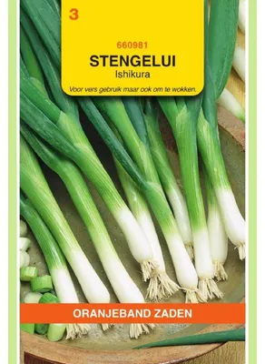Imagen del producto de Oranjeband: Cebollino para plantar, variedad Ishikura - 1 paquete de semillas