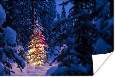 Produktbild von MuchoWow® Poster Ein Weihnachtsbaum im verschneiten Wald 120x80 cm - Bilder