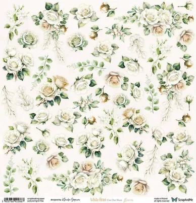 Obrázok produktu pre 30 x 30 cm obojstranný papier na scrapbooking – ScrapAndMe – Biele ruže – Kvety – Šablóna na vystrihovanie